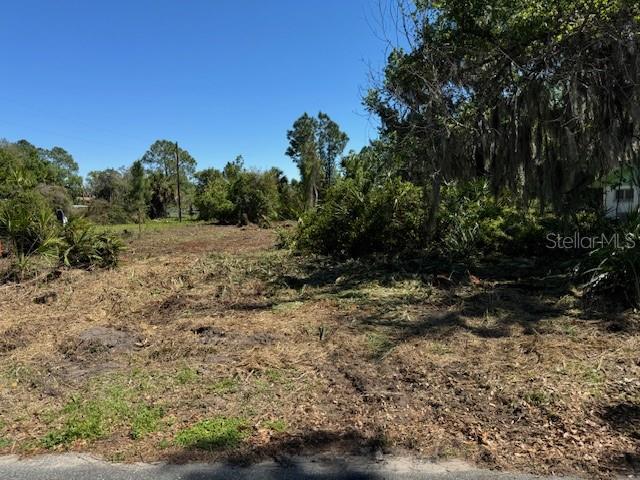 Cove Road Tavares, FL 32778 - Photo 11 of 16 a big yard with lots of green space