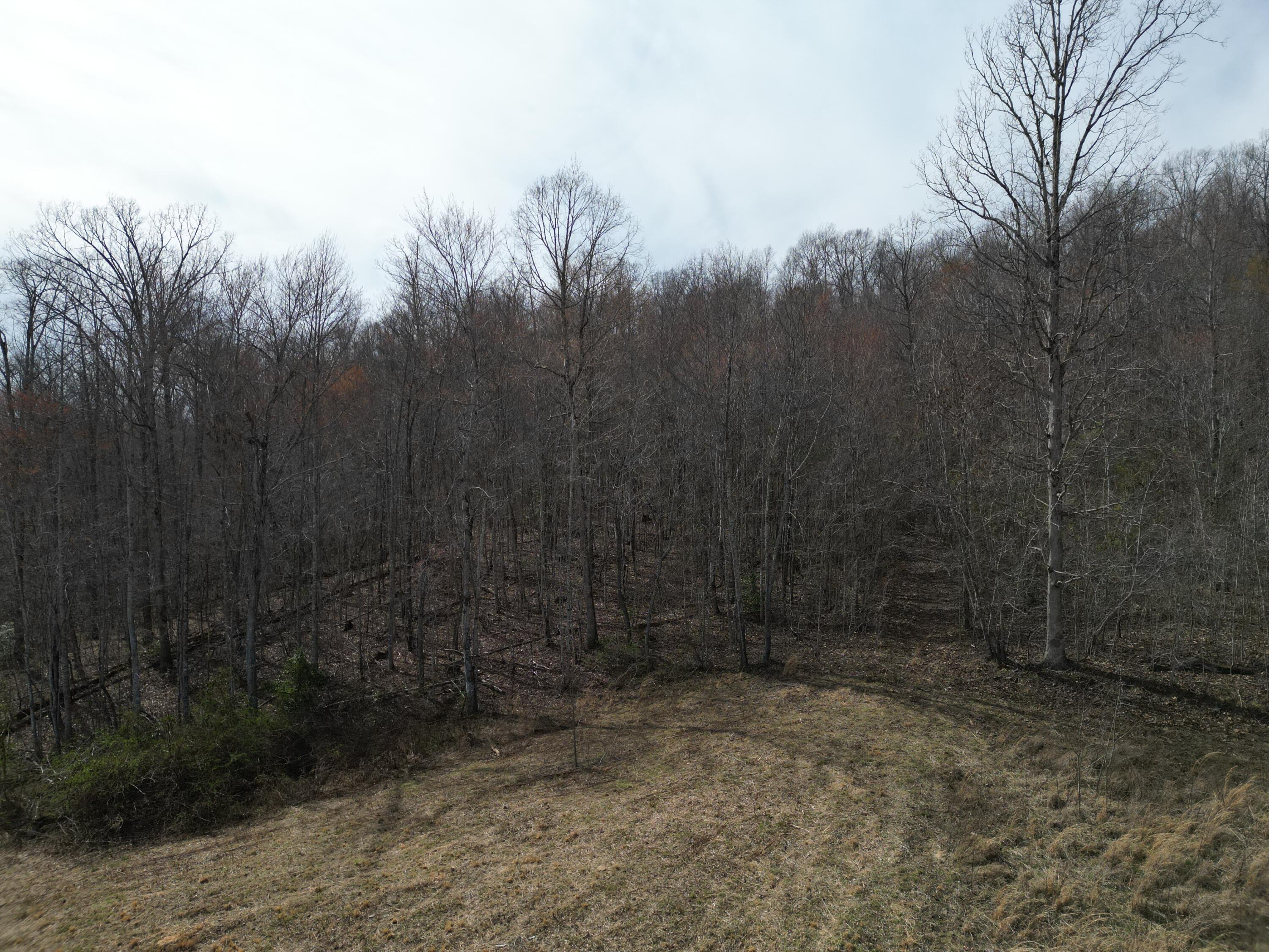 9999 Logan Road Corbin, KY 40701 - Photo 3 of 25 DJI_0846