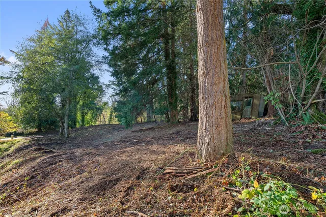 a backyard of a house with lots of green space