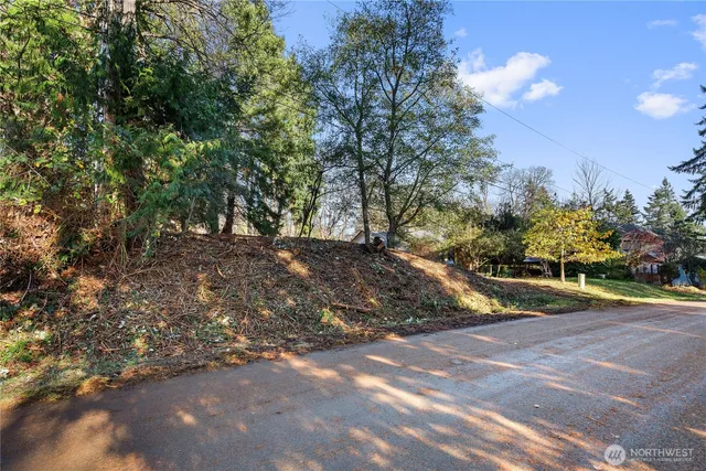a view of backyard with green space