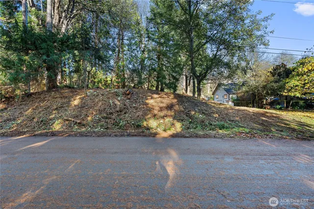 a view of a yard with plants and trees
