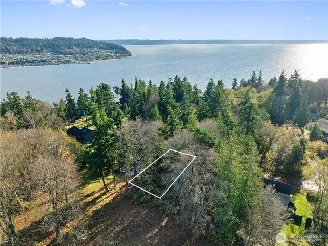 a view of a lake with a mountain in the background