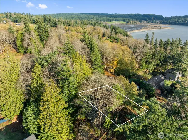 a view of a yard with trees in front of it