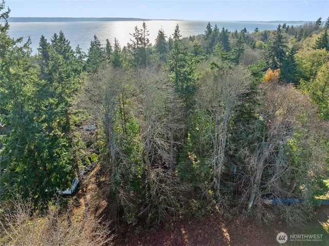 a water view of a tree with yard