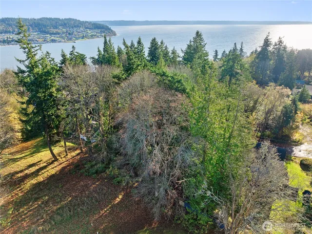 a view of outdoor space and yard