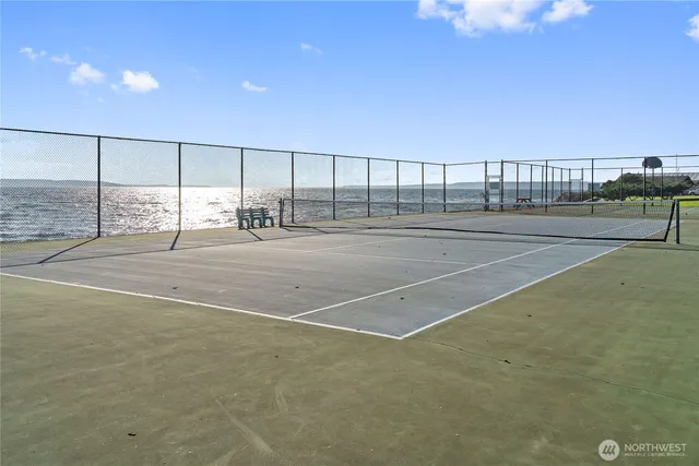 a view of a terrace yard