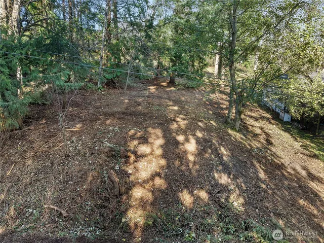 a view of outdoor space and trees