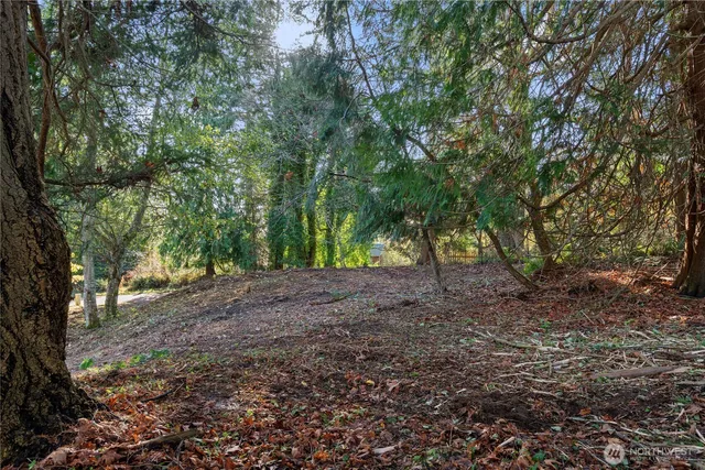 a view of outdoor space and trees