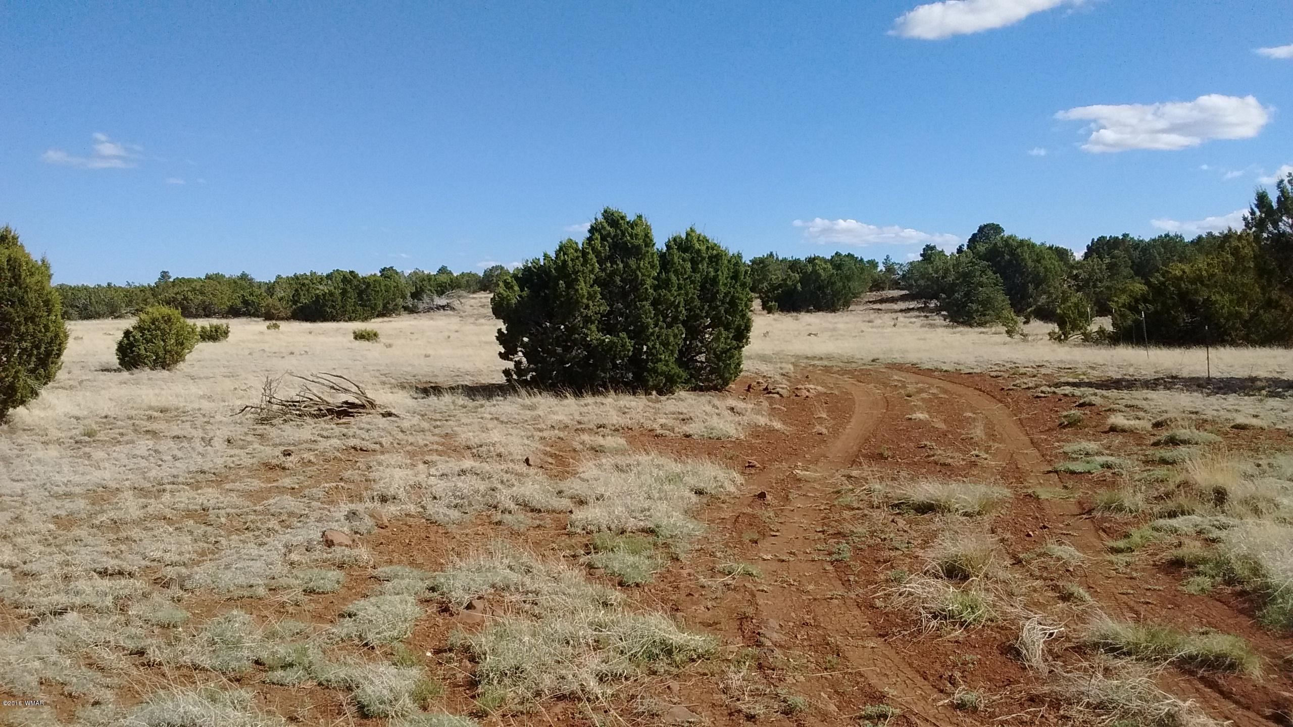Lot 23 Idlewild Ranch, Unit 1 Concho, AZ 85924 - Photo 13 of 13