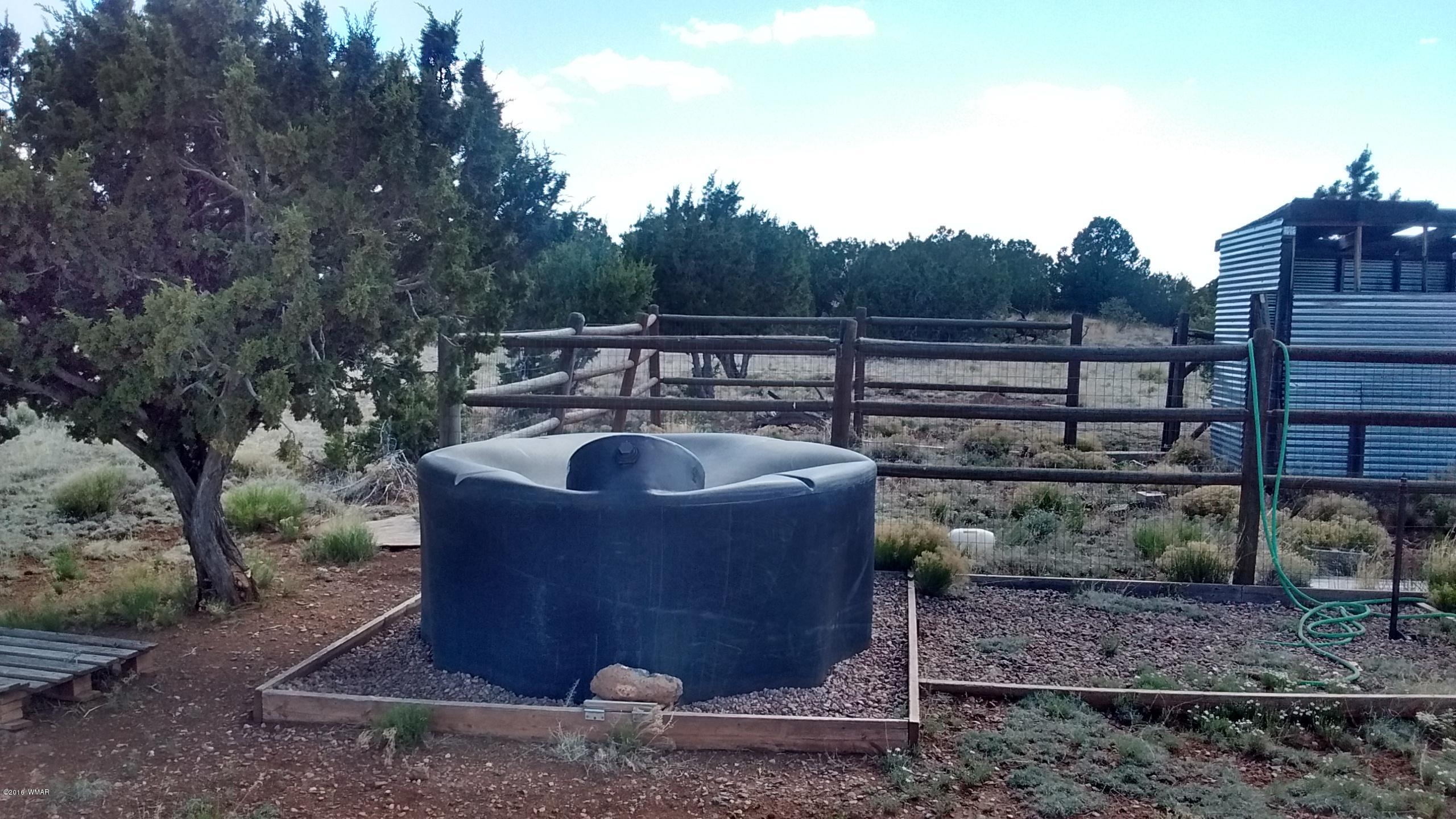 Lot 23 Idlewild Ranch, Unit 1 Concho, AZ 85924 - Photo 4 of 13