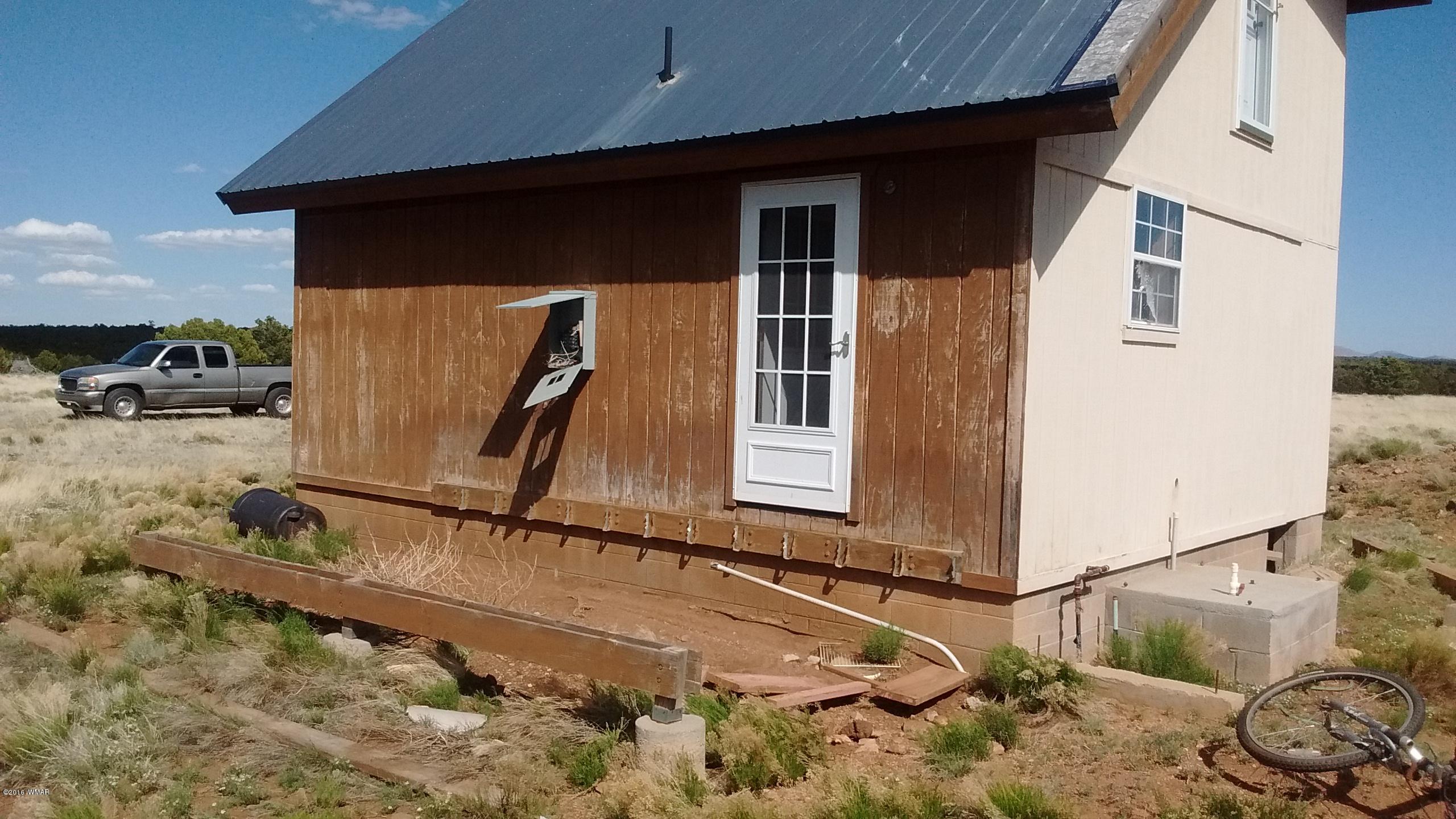 Lot 23 Idlewild Ranch, Unit 1 Concho, AZ 85924 - Photo 5 of 13