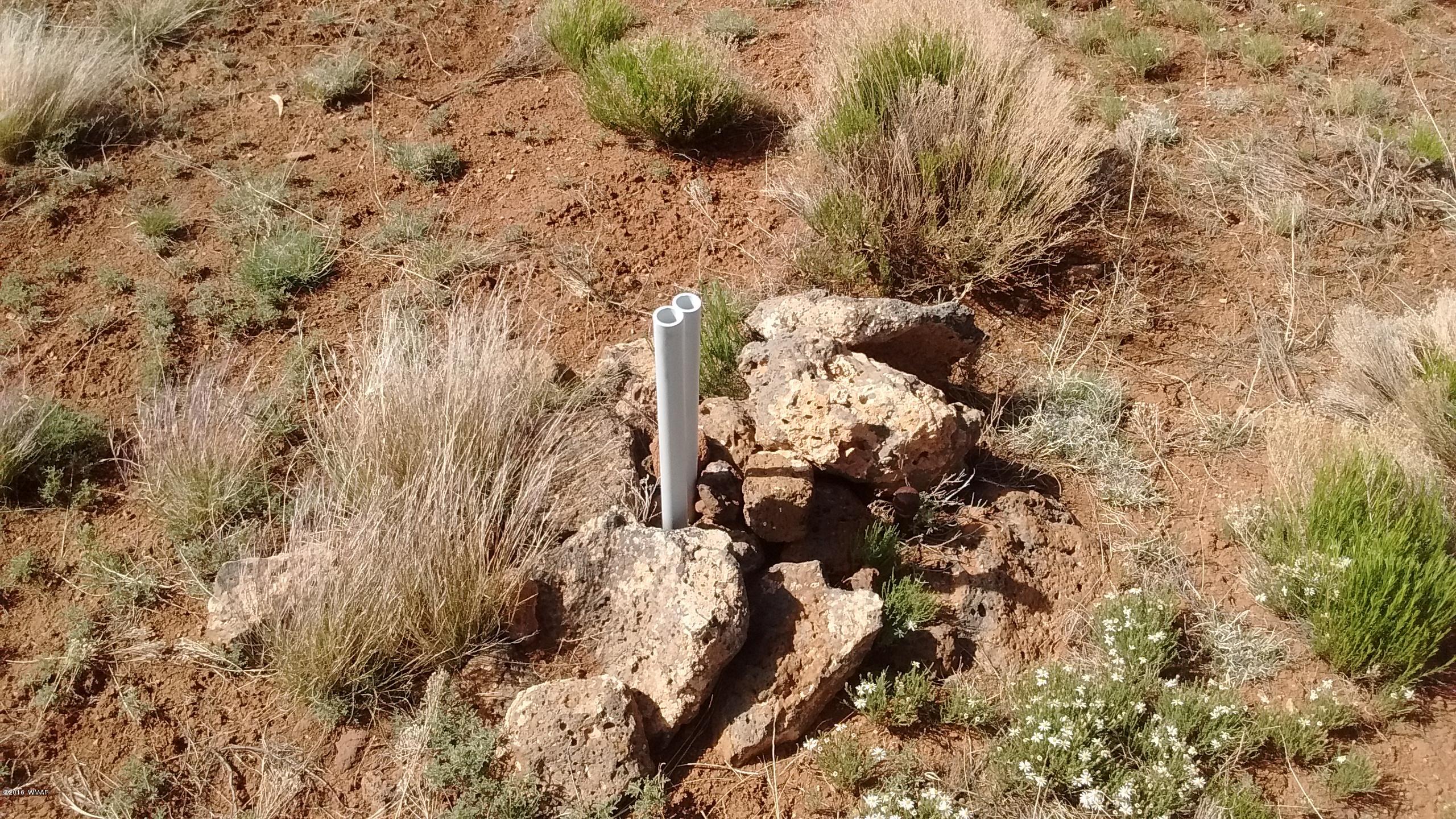 Lot 23 Idlewild Ranch, Unit 1 Concho, AZ 85924 - Photo 6 of 13