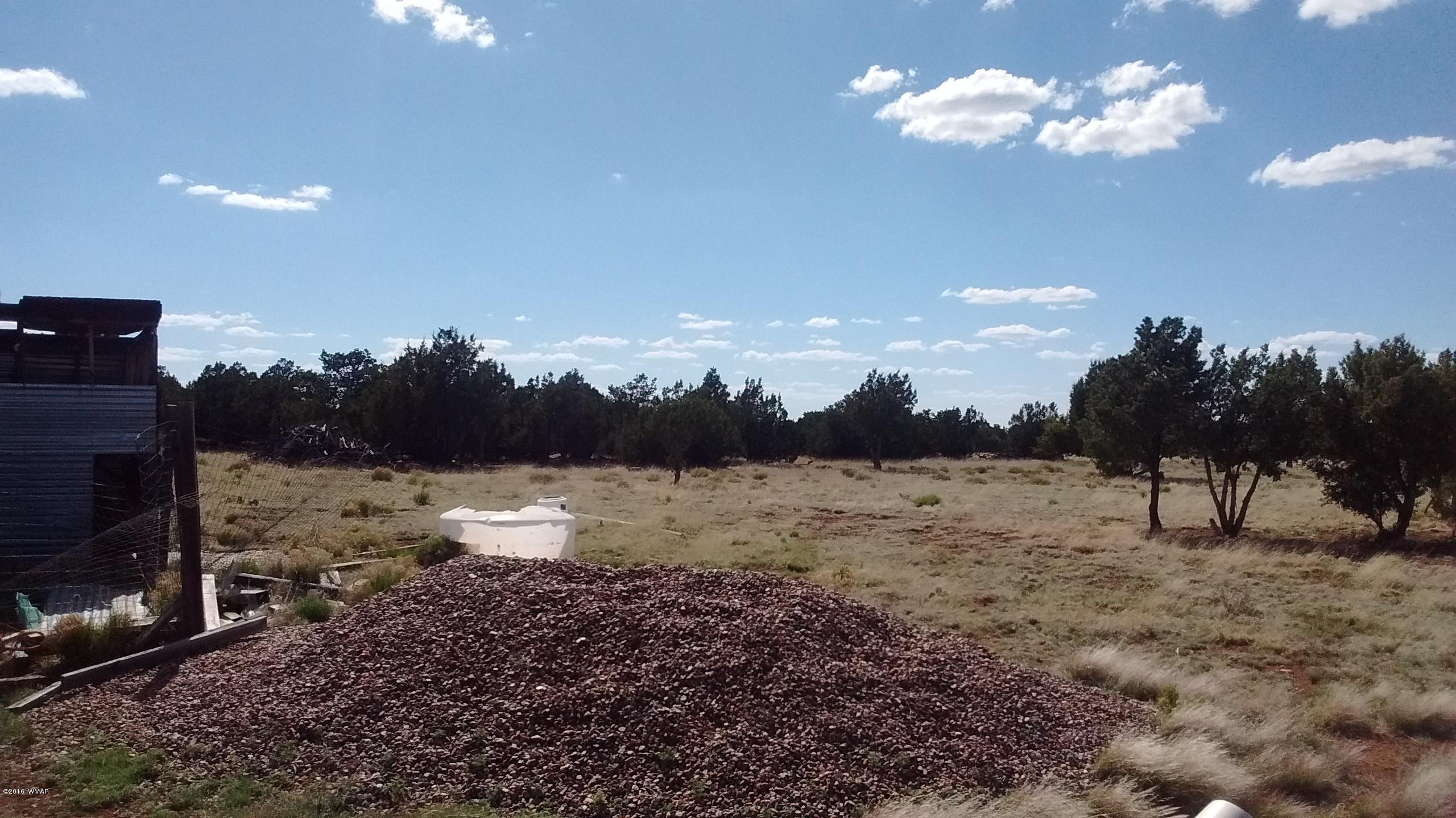 Lot 23 Idlewild Ranch, Unit 1 Concho, AZ 85924 - Photo 7 of 13