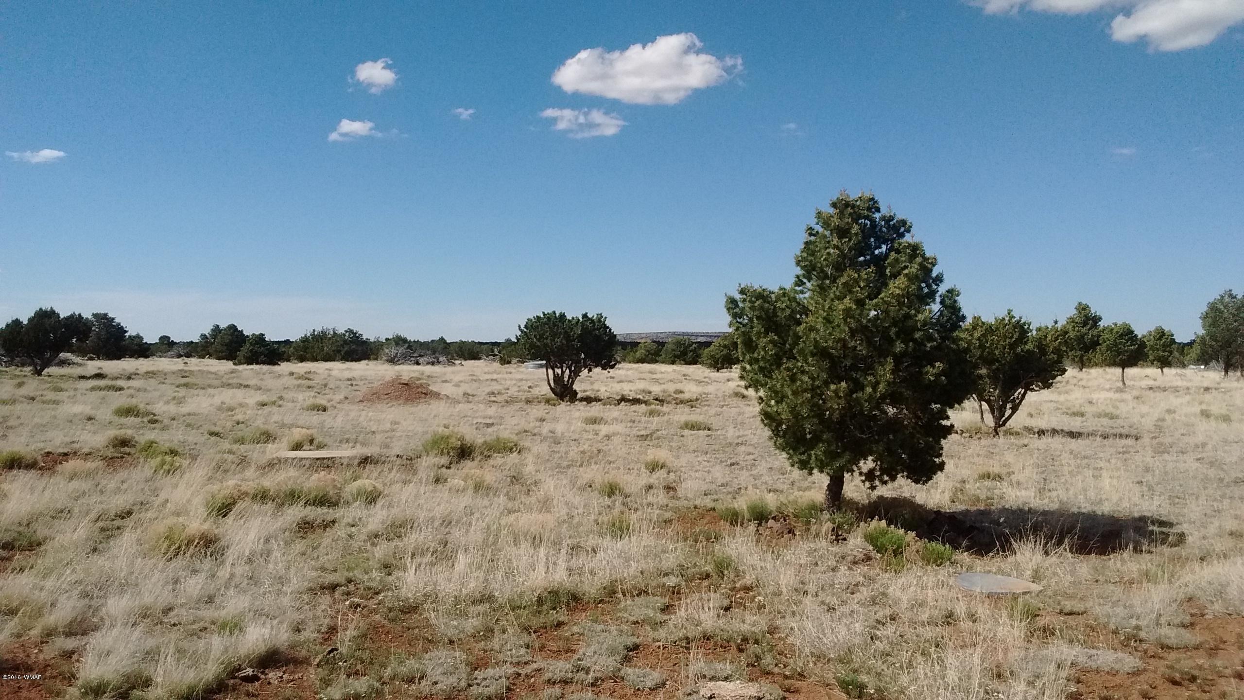 Lot 23 Idlewild Ranch, Unit 1 Concho, AZ 85924 - Photo 8 of 13