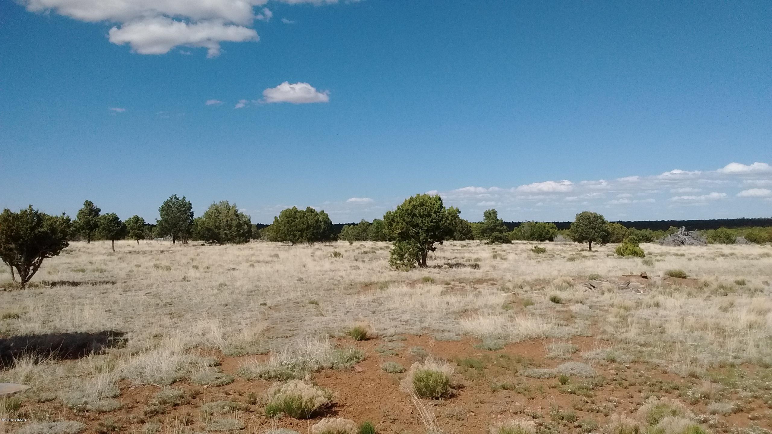 Lot 23 Idlewild Ranch, Unit 1 Concho, AZ 85924 - Photo 9 of 13