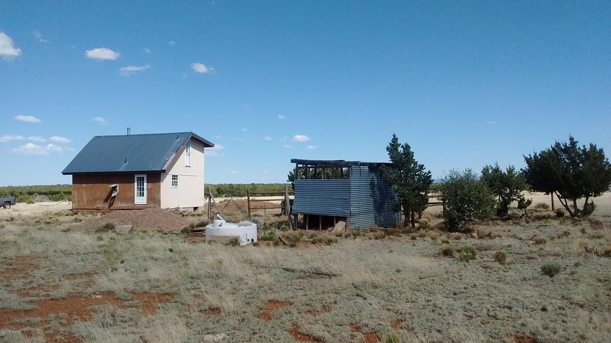 Lot 23 Idlewild Ranch, Unit 1 Concho, AZ 85924 - Photo 10 of 13