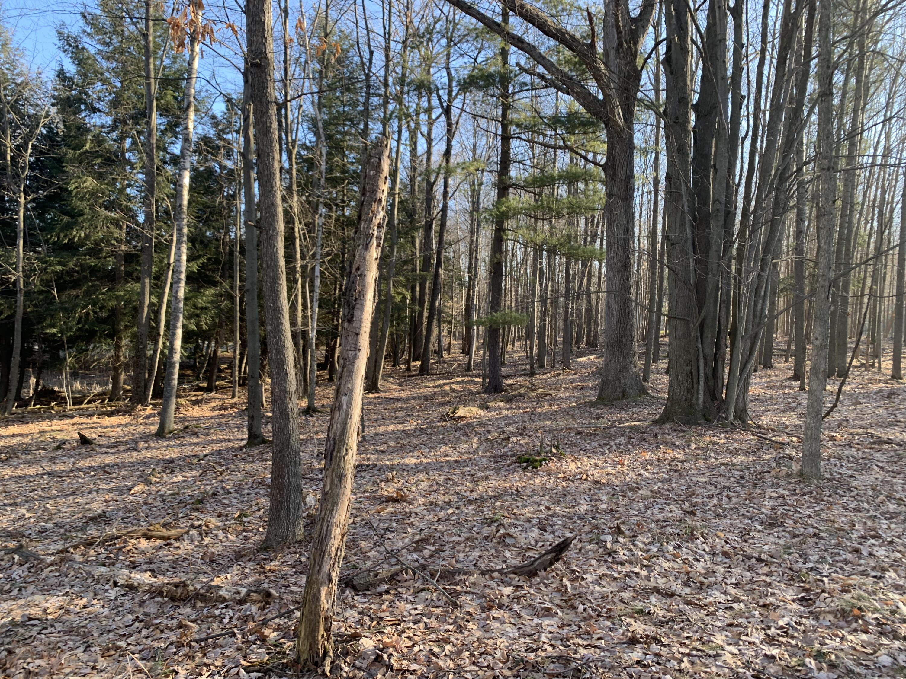 9740 Fawn Ridge Road Canadian Lakes, MI 49346 - Photo 4 of 23 Lot pic 6