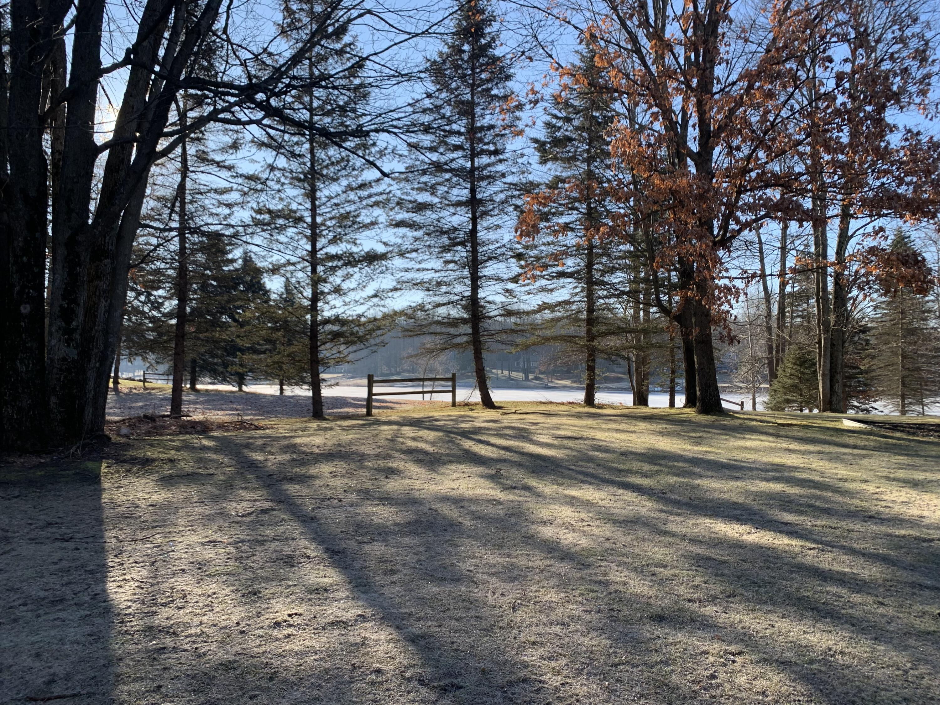 9740 Fawn Ridge Road Canadian Lakes, MI 49346 - Photo 6 of 23 Lot pic view 2
