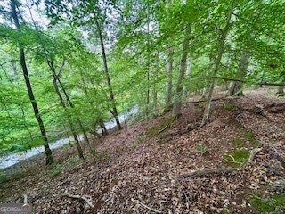 0 Bethany Road Madison, GA 30650 - Photo 21 of 21