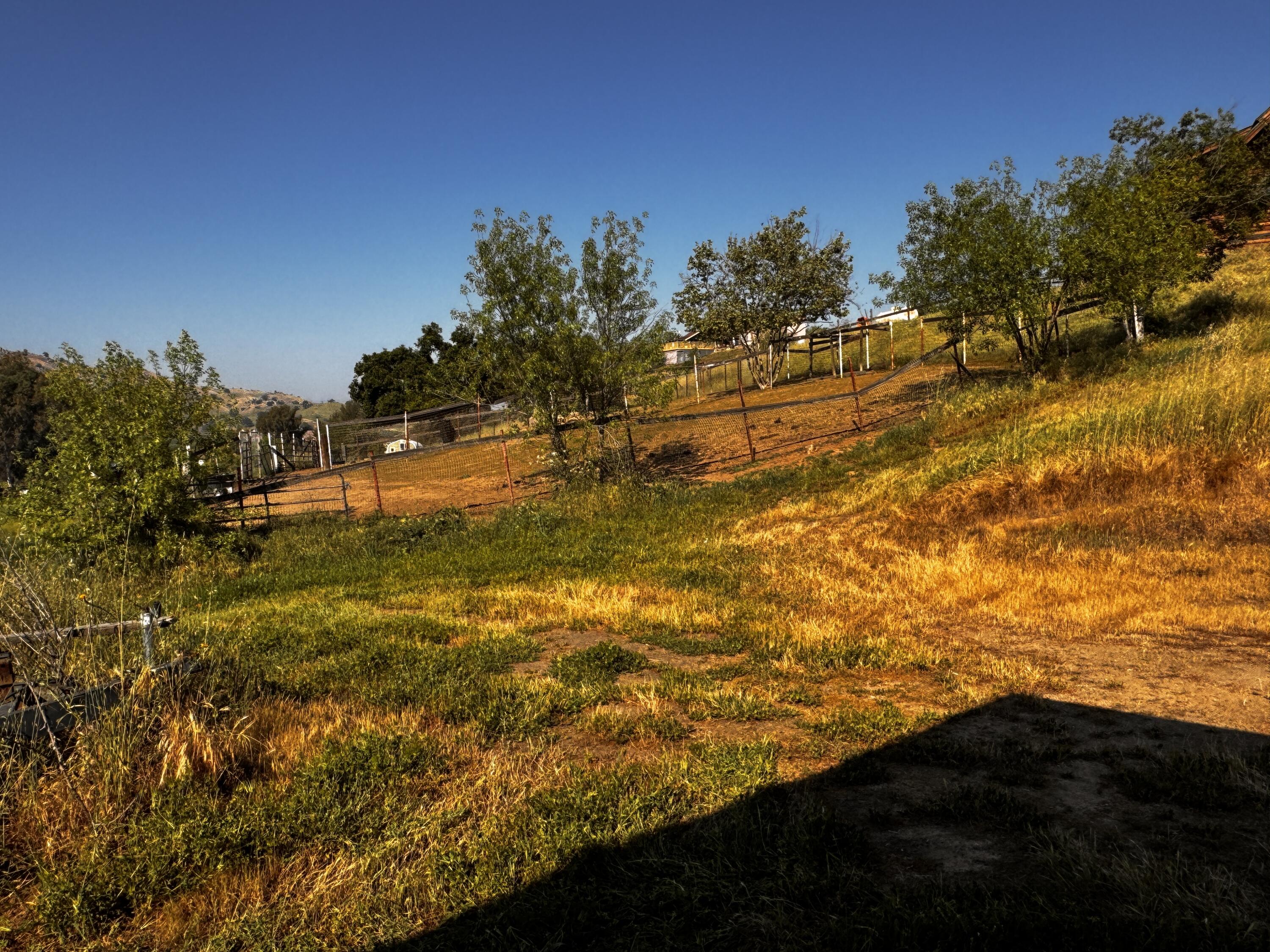 30723 Hamilton Drive Exeter, CA 93221 - Photo 76 of 85