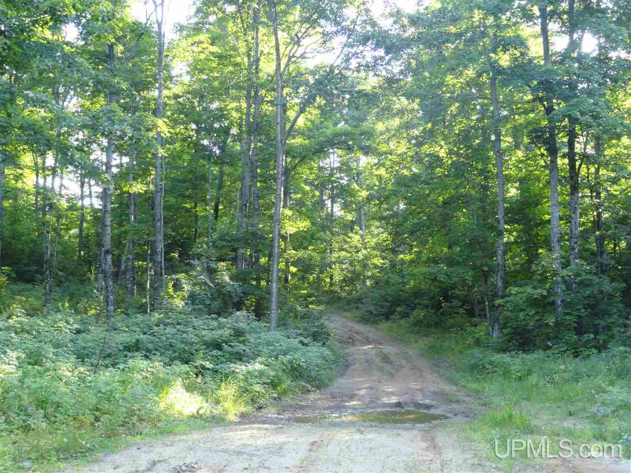 80 NORTH Off Co Road Ishpeming, MI 49849 - Photo 13 of 19