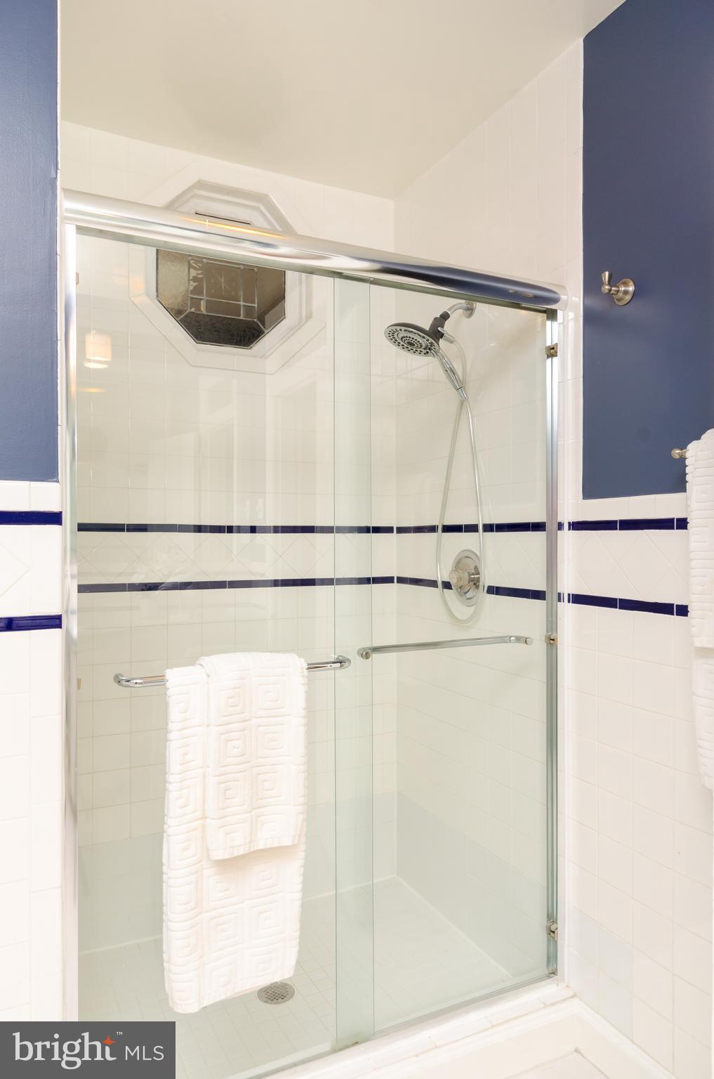 507 7th Street Southeast Washington, DC 20003 - Photo 24 of 34 Walk-in Shower in MBR