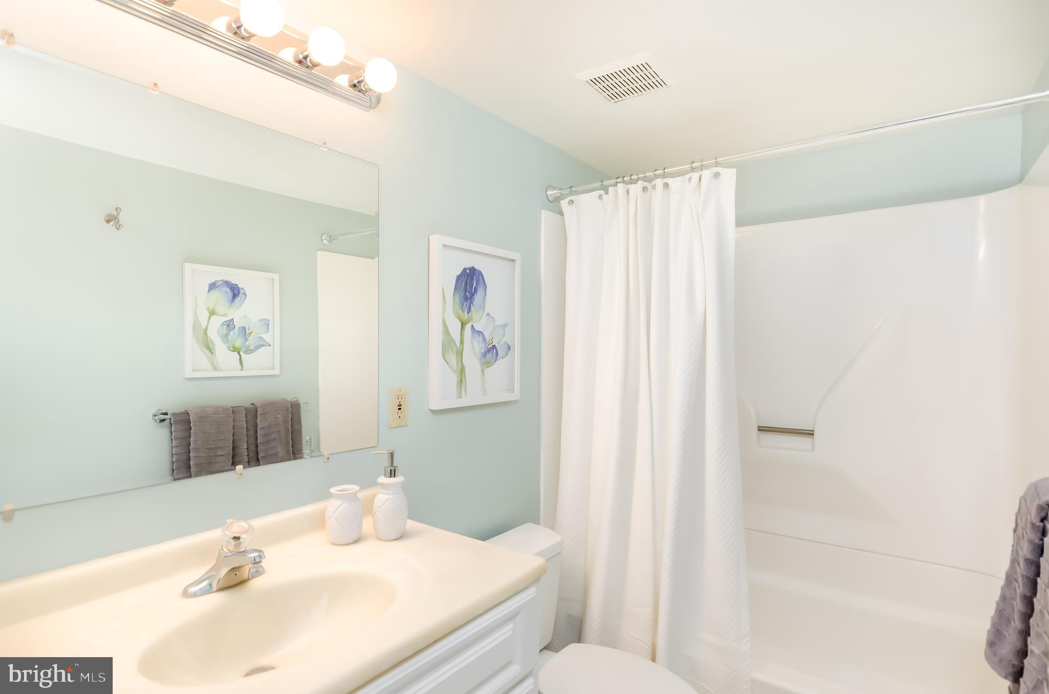 507 7th Street Southeast Washington, DC 20003 - Photo 33 of 34 BA #3 - Bsmt Level