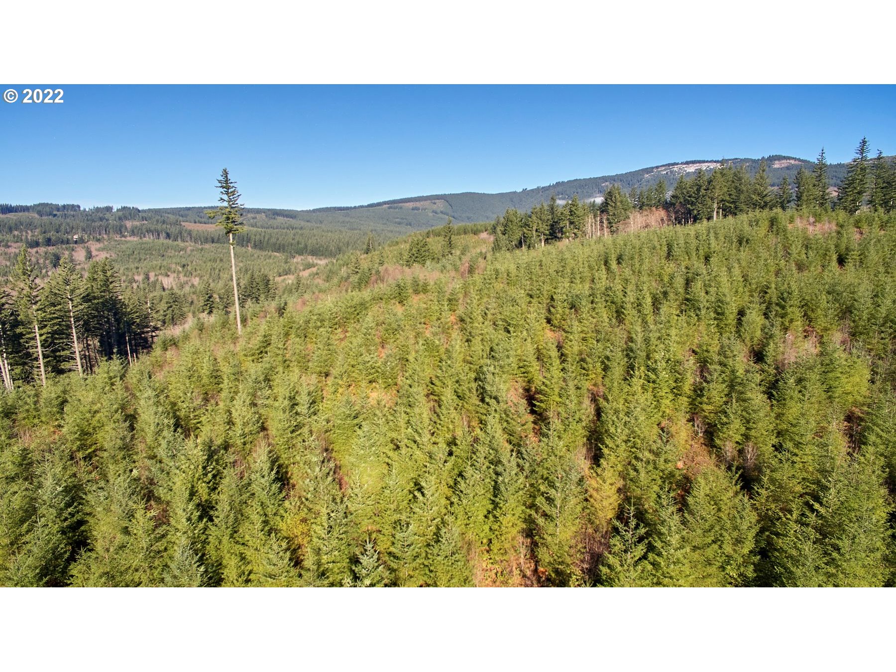3 Northeast Jones Creek Road Camas, WA 98607 - Photo 20 of 24