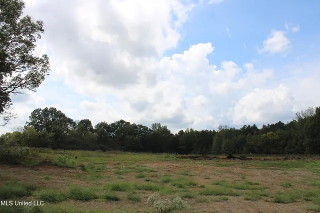 $99,000 | 1 Hickory Hollow Road, Coldwater, MS 38618