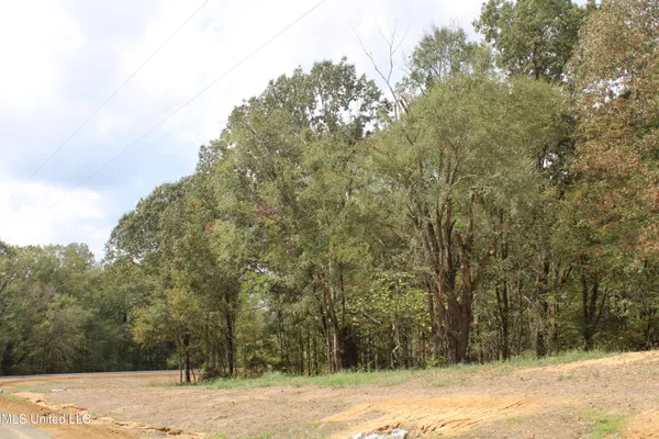 $99,000 | 1 Hickory Hollow Road, Coldwater, MS 38618