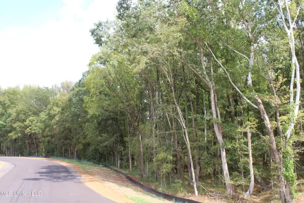 $99,000 | 1 Hickory Hollow Road, Coldwater, MS 38618