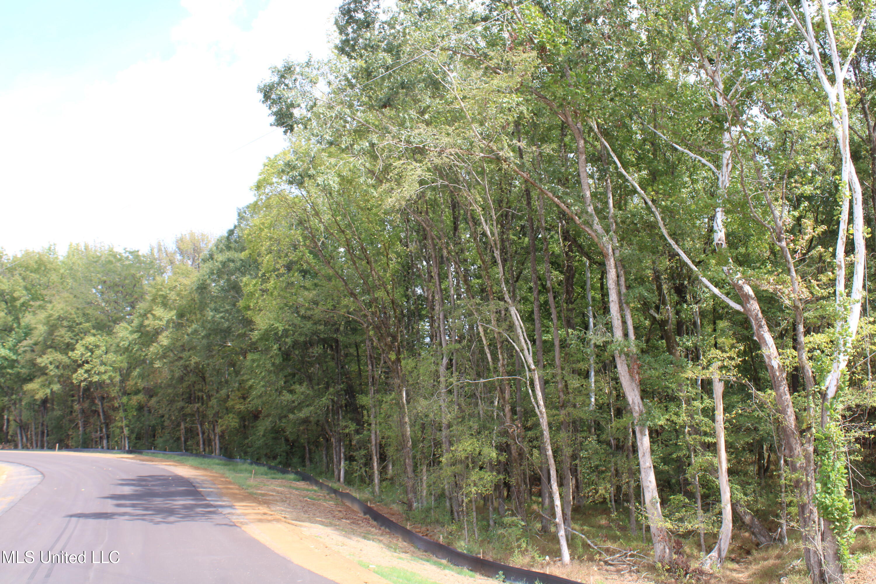 1 Hickory Hollow Road Coldwater, MS 38618 - Photo 19 of 65 IMG_6592