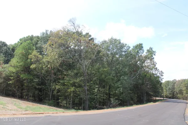 $99,000 | 1 Hickory Hollow Road, Coldwater, MS 38618