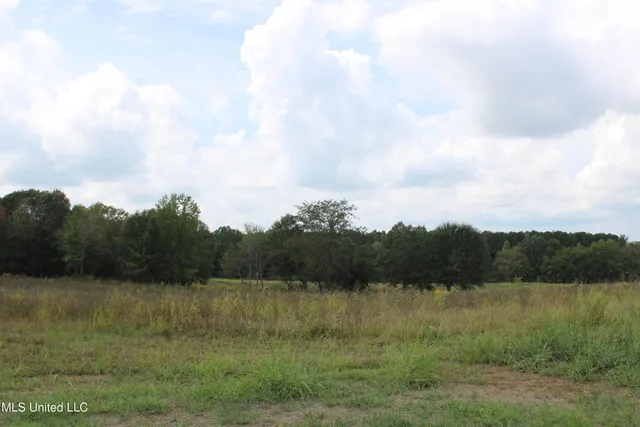 $99,000 | 1 Hickory Hollow Road, Coldwater, MS 38618