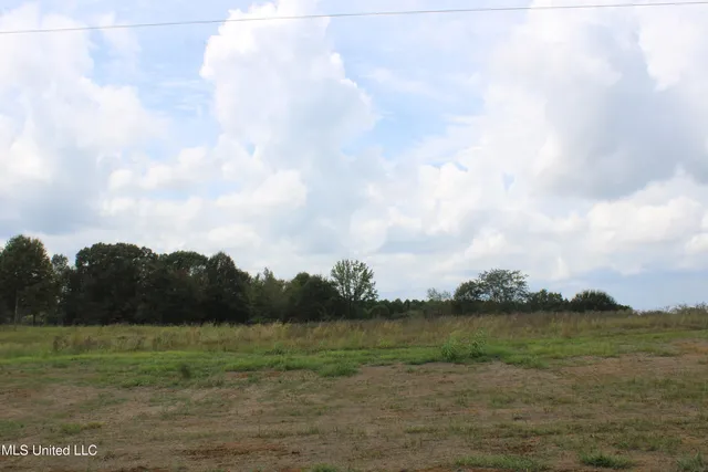 $99,000 | 1 Hickory Hollow Road, Coldwater, MS 38618