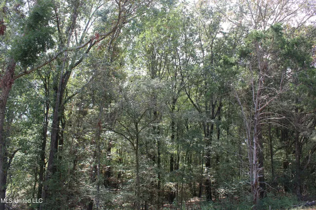 $99,000 | 1 Hickory Hollow Road, Coldwater, MS 38618