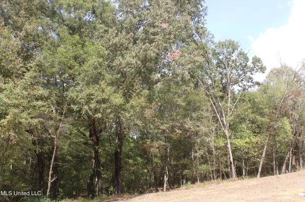 $99,000 | 1 Hickory Hollow Road, Coldwater, MS 38618