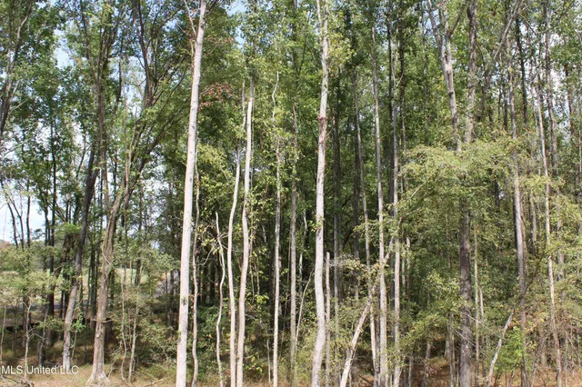 $99,000 | 1 Hickory Hollow Road, Coldwater, MS 38618