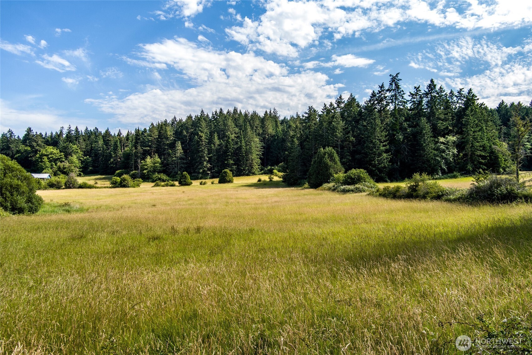 0 Turn Point Road Friday Harbor, WA 98250 - Photo 9 of 15