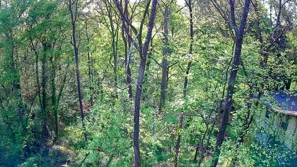 $24,000 | 0 Walnut Street, LaFayette, GA 30728