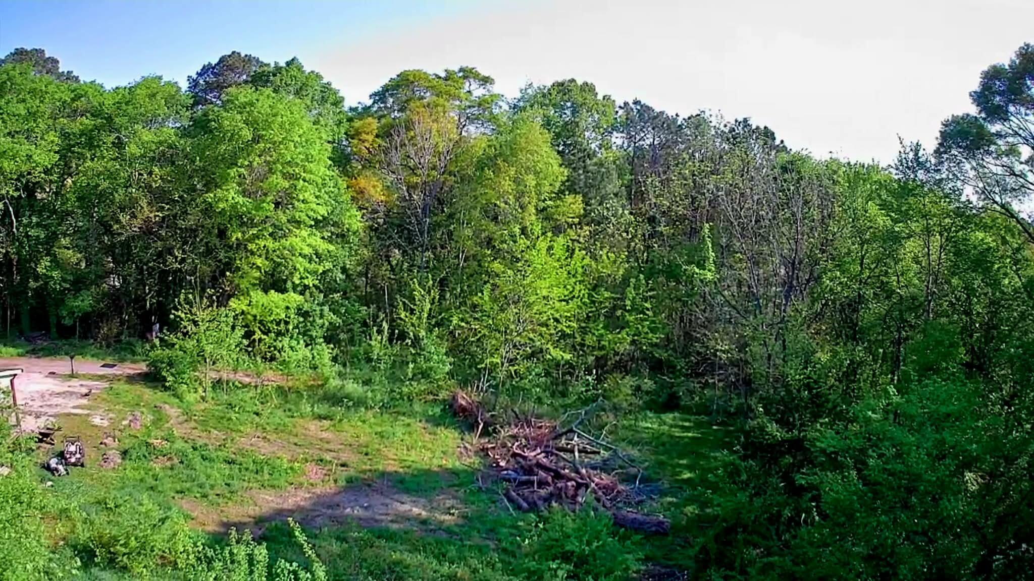 0 Walnut Street LaFayette, GA 30728 - Photo 3 of 9 0b3db985-ba28-41c9-a9a8-92148368091a