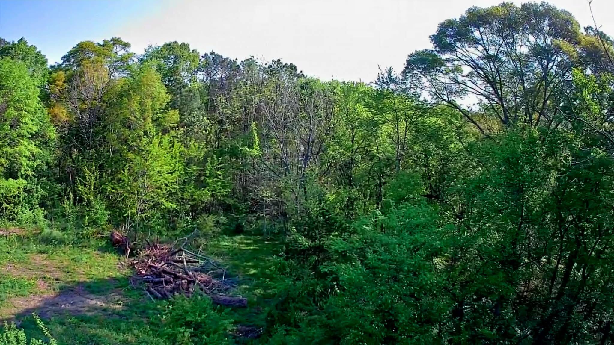 0 Walnut Street LaFayette, GA 30728 - Photo 4 of 9 5438ecfc-a12a-42df-87e4-f091297d1eb2