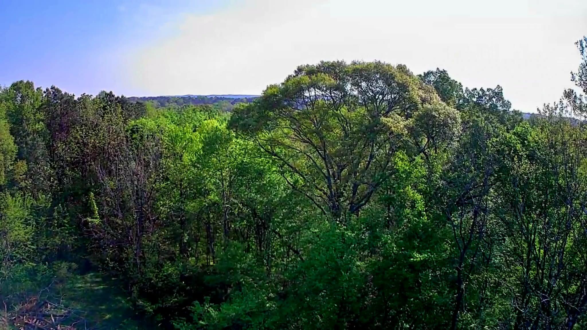 0 Walnut Street LaFayette, GA 30728 - Photo 5 of 9 2eb5ad72-660b-4340-b41c-c9f93b05012c