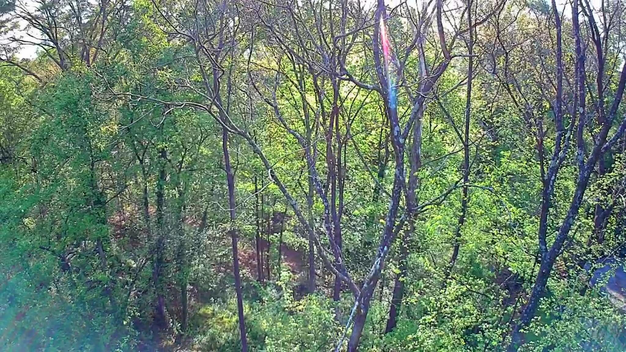 0 Walnut Street LaFayette, GA 30728 - Photo 8 of 9 6d4966a3-720e-4cc1-8dbf-0713cf021d39