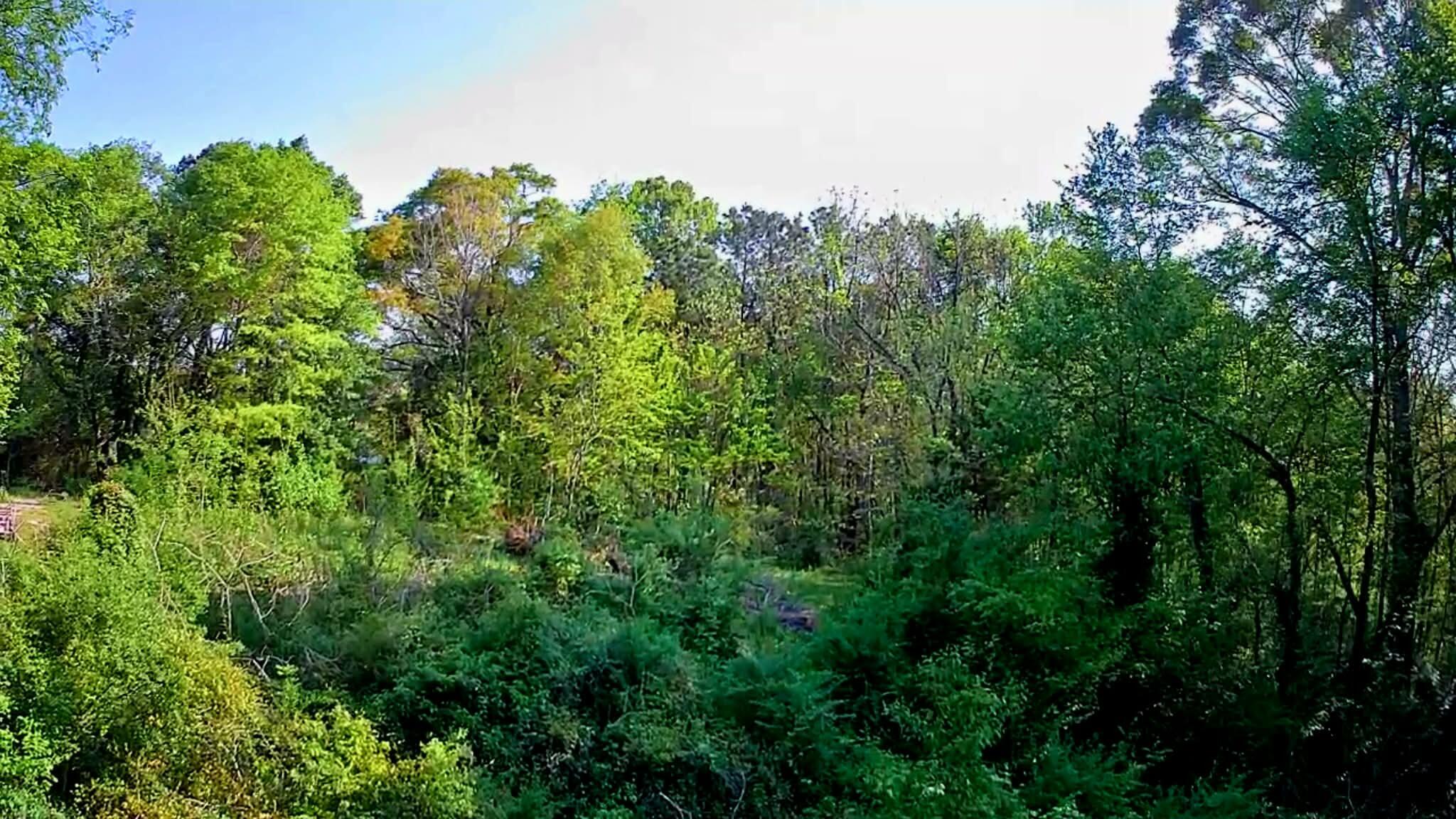 0 Walnut Street LaFayette, GA 30728 - Photo 9 of 9 eb1175e9-8580-4f5d-8412-d68838b7c6d4