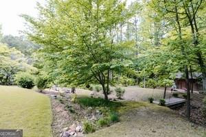 89 Copeland Road Newnan, GA 30263 - Photo 25 of 30 a backyard of a house with lots of green space