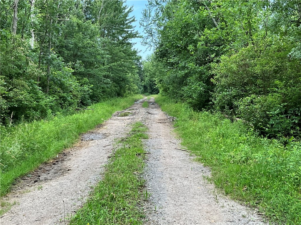 West Barre Road Albion, NY 14411 - Photo 15 of 16