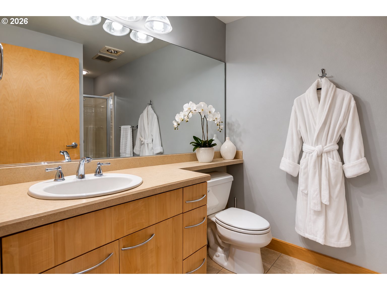 300 West 8th Street, Unit 236E Vancouver, WA 98660 - Photo 19 of 46 a bathroom with a toilet sink and mirror