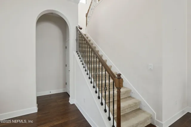a view of a park with palm trees