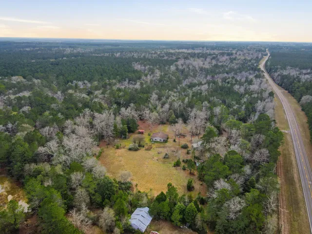 a view of a yard with a tree
